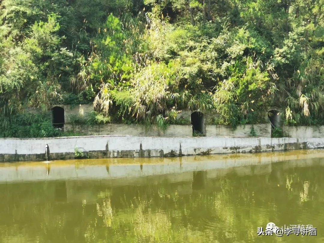 山河醉中国白酒,山河醉我