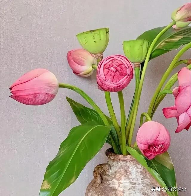 思辩的寓意,思辨能力是什么