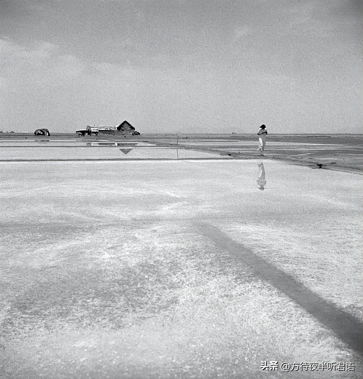 殊异之城：金石声穿过岁月的青岛留影