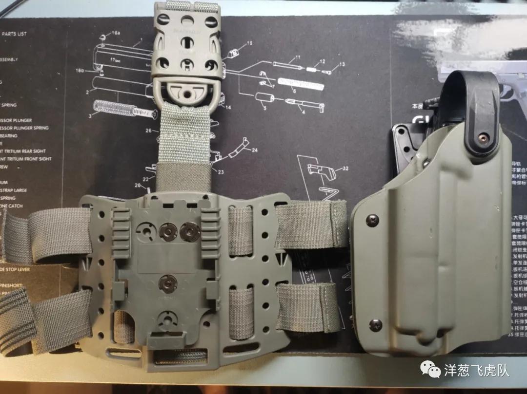 虎年说虎科普视频,虎年说虎运用了哪些说明方法