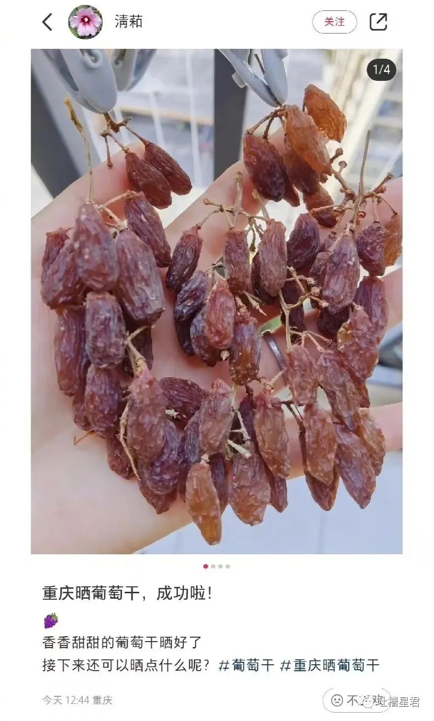 花了7400元买的gucci,花4000买gucci发夹