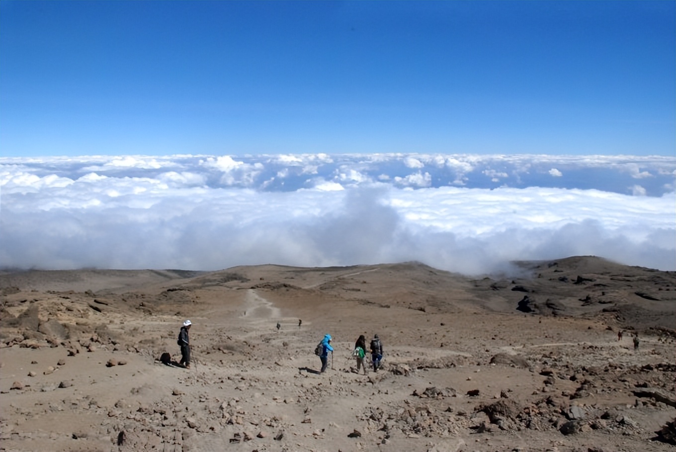 中国志愿者英国,中国志愿者旅游服务