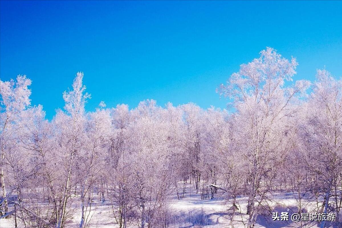 黑龙江省有几个5a级景区,黑龙江玻璃栈道景区有哪些