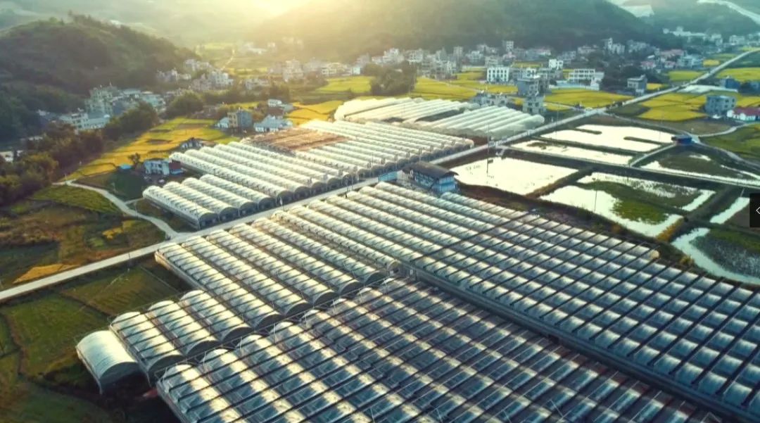 深圳市2024年度十项民生实事出炉,深圳2019民生微实事项目库