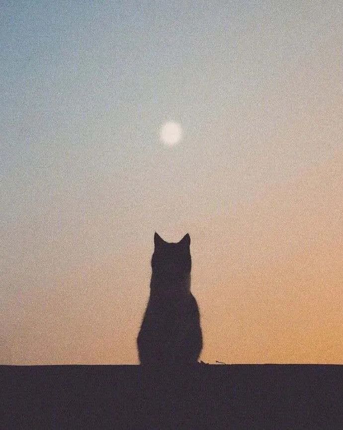 对方正在输入中是和别人聊天吗,对方正在输入中昵称