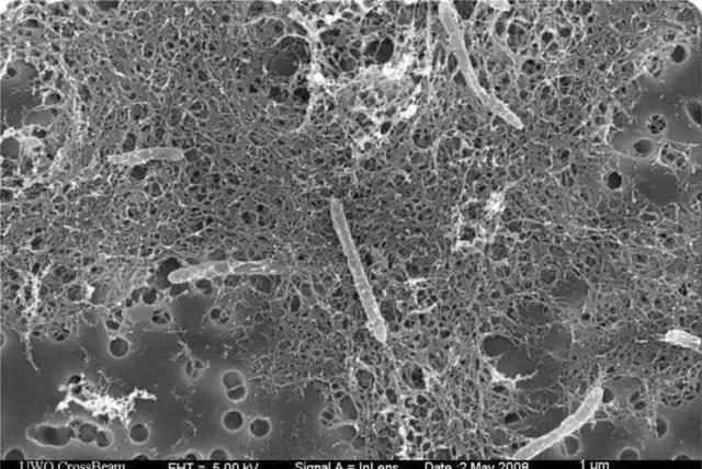 三千公里直径却有比地球更大海洋，欧罗巴一号看到的生物是真的？