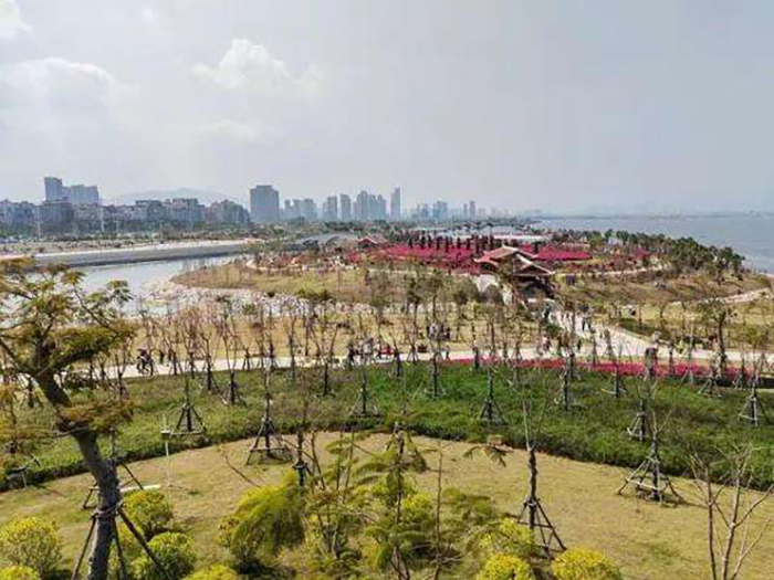 厦门最大免费公园,厦门有没有免费开放的足球场