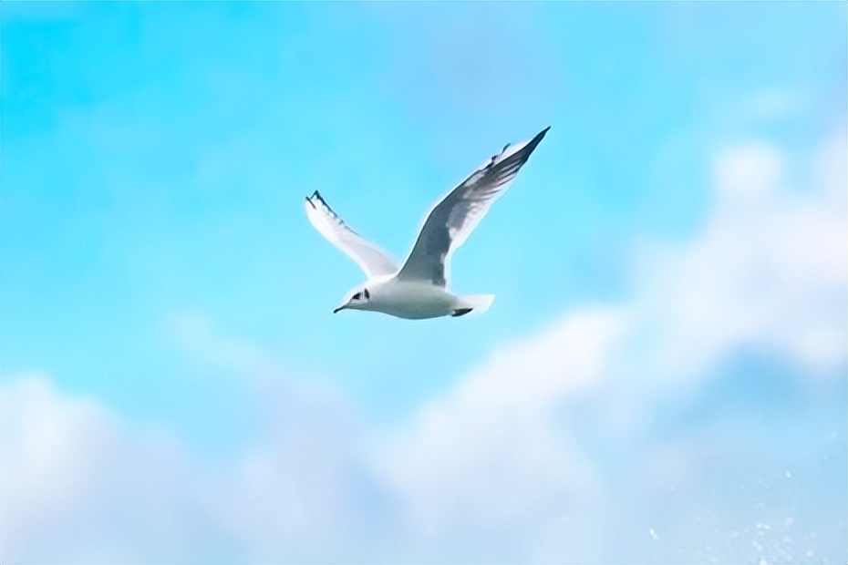 人生怎样活才合适,人生怎么才能活好自己