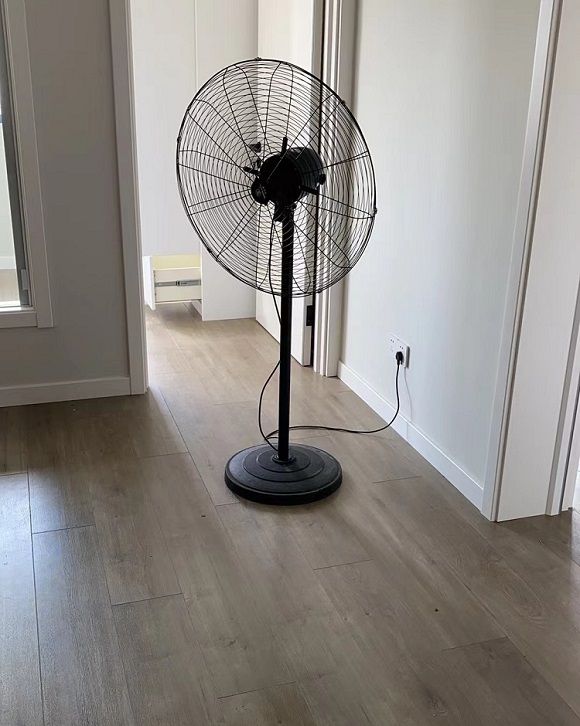 乐净石和活性炭哪个除醛效果更好,纳净石除甲醛靠谱吗