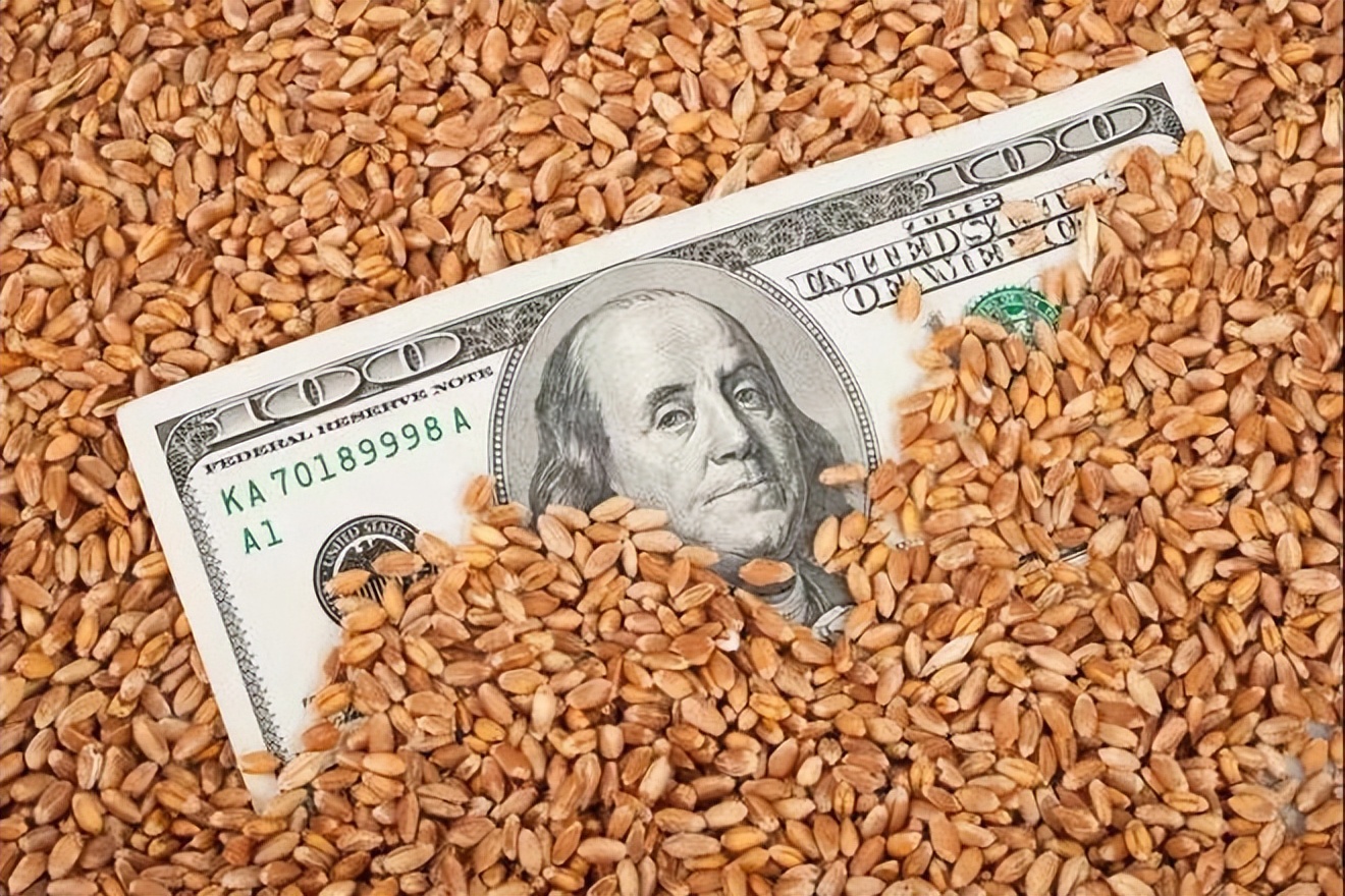 缇庡浗鍥涘ぇ绮晢鐨勭伯椋熸垬,涓編绮鎴樹腑鍌ㄧ伯vs鍥涘ぇ绮晢