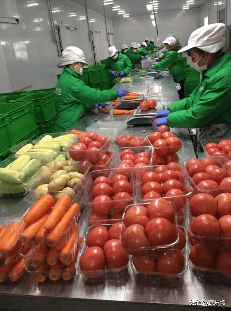 蔬东坡生鲜配送多少钱,蔬东坡团购靠谱吗