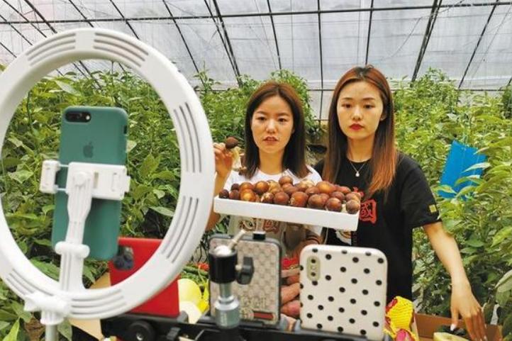 农村小作坊创业做什么生意好暴利,36岁想回农村创业做这5种生意