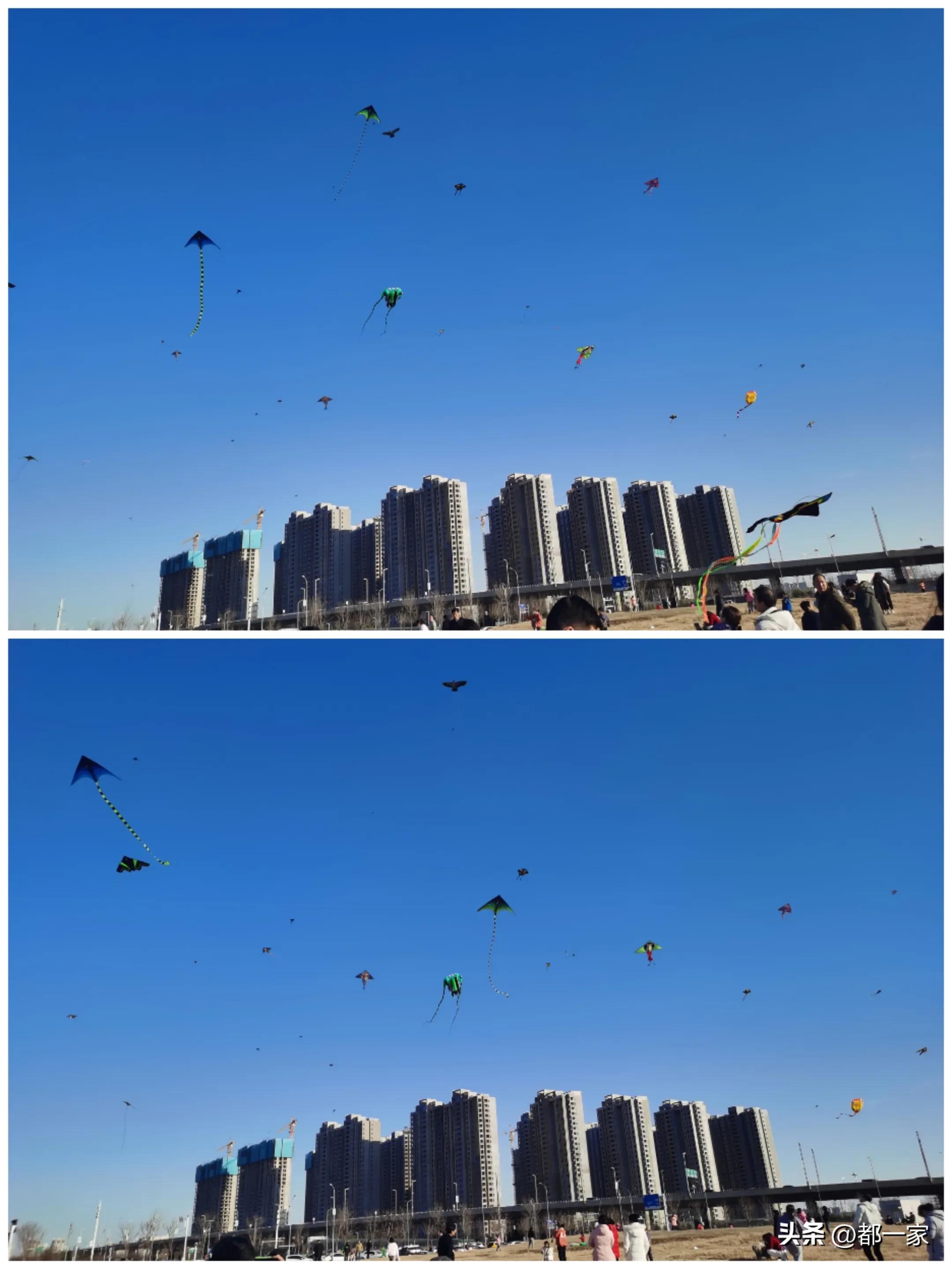 郑州碧沙岗公园赏梅花,春风又至郑州迎来极佳赏梅季