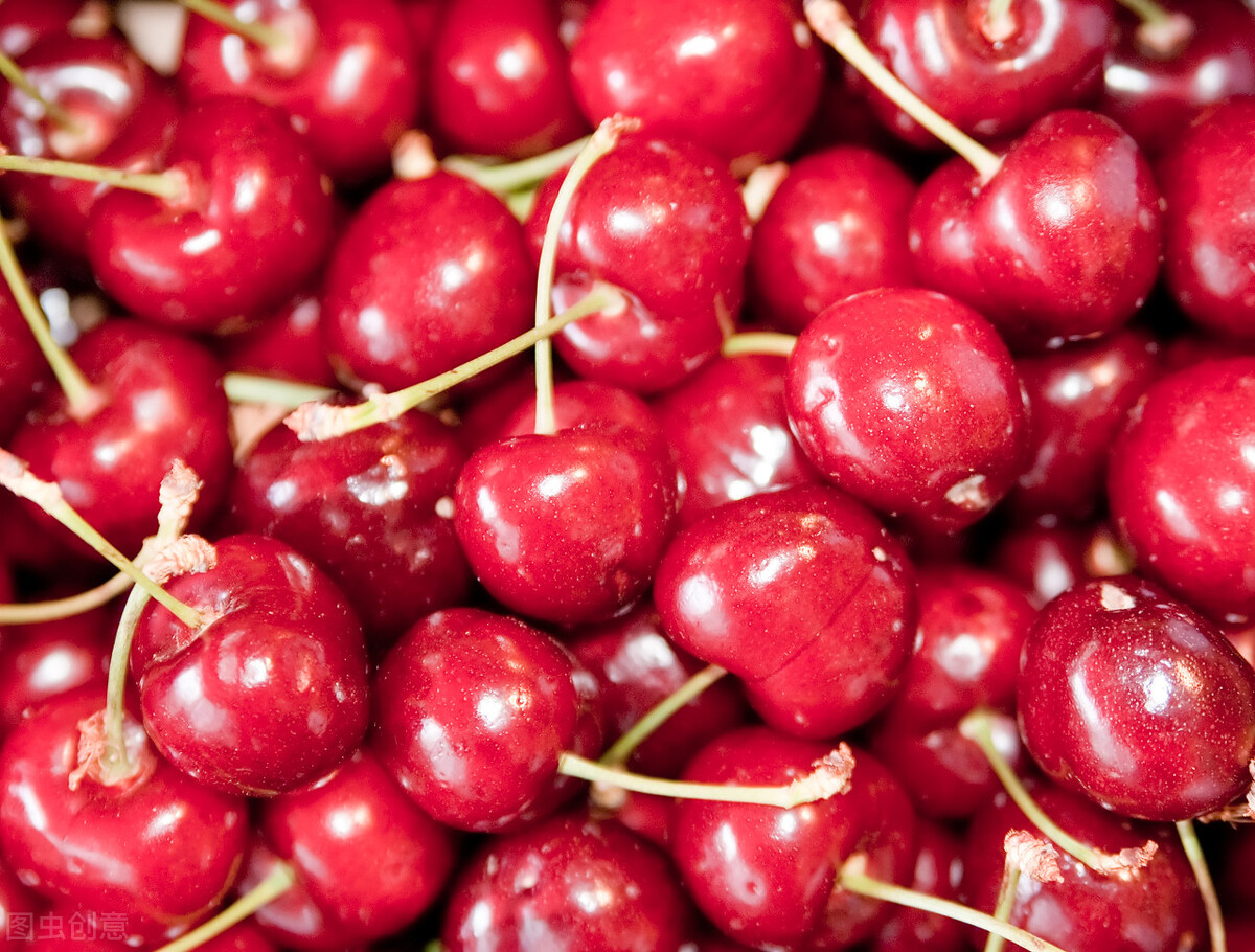 澳洲车厘子为啥12月上市,澳洲车厘子最新消息