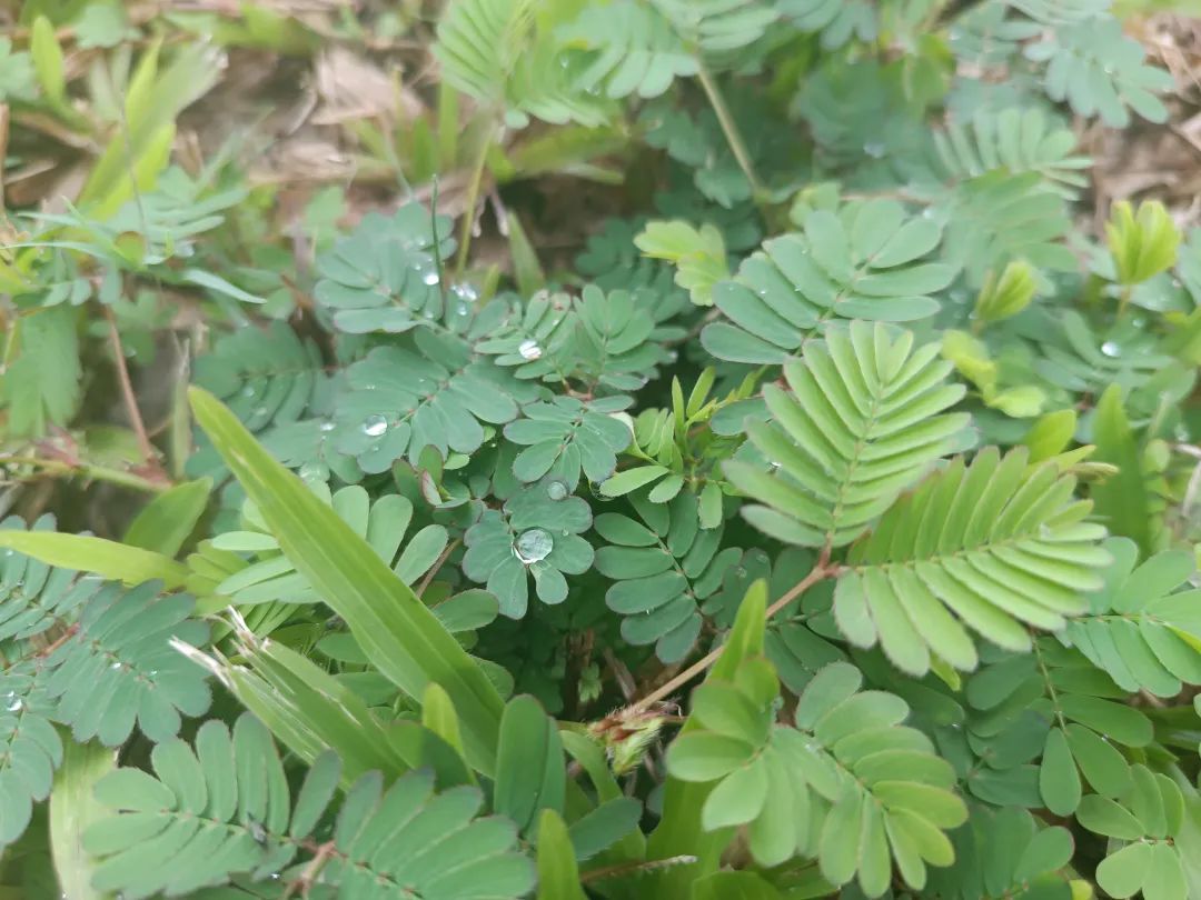 鎬荤粨8鏈堢殑鐢熸椿,鍏充簬5鏈堢殑鍏呭疄鎬荤粨