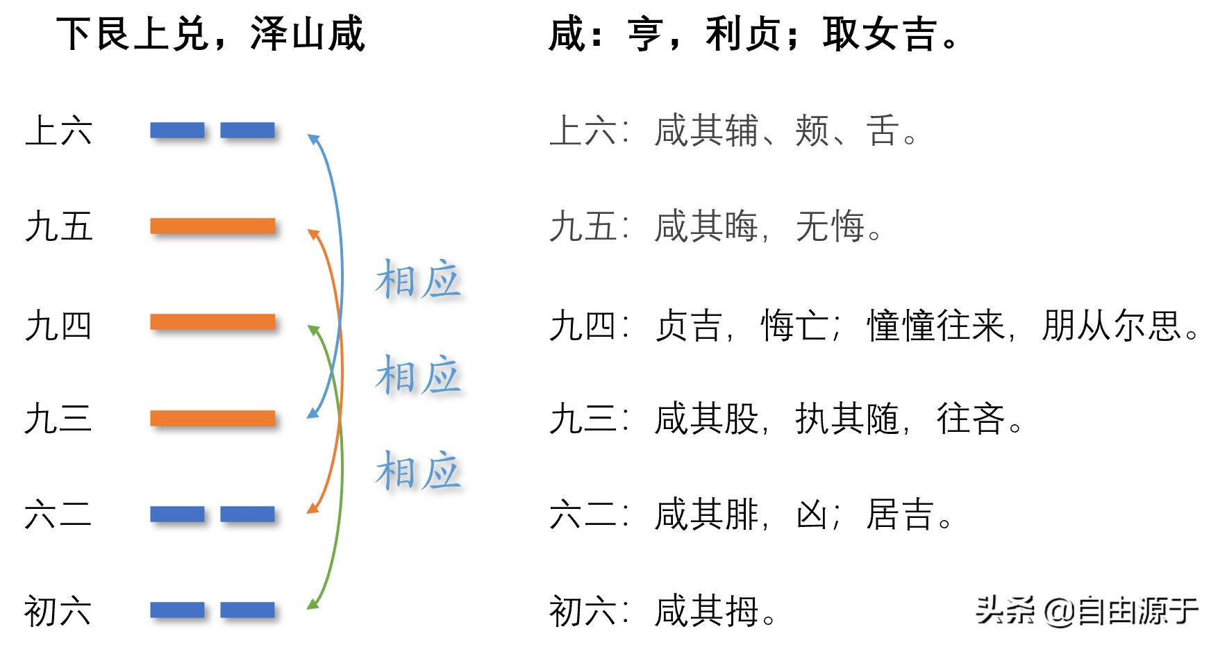 易经说什么,易经不放鱼缸不放绿植什么意思