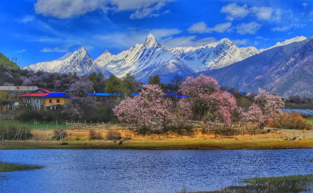 藏西旅游攻略大全,藏西最好的景点