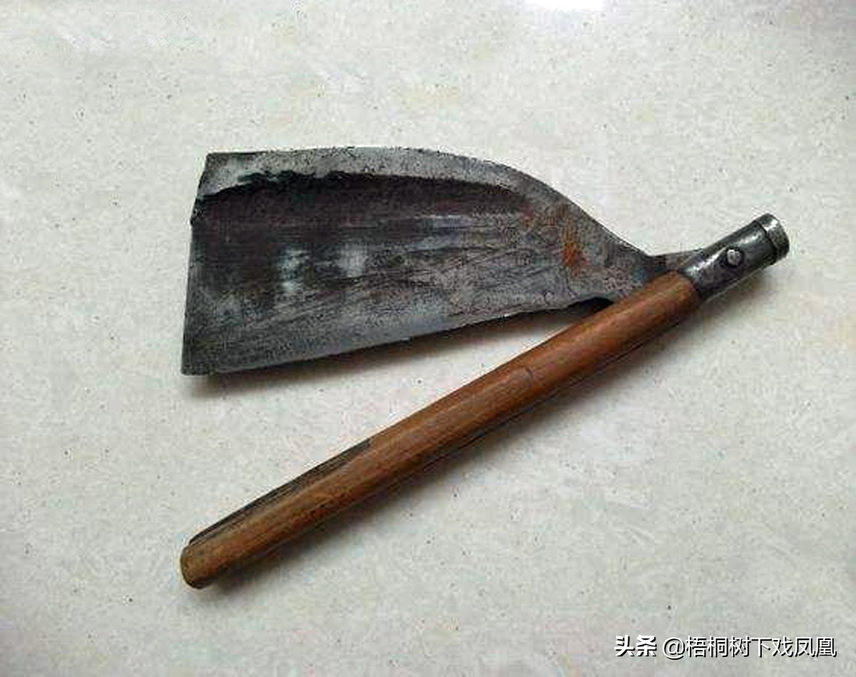 二月初二龙抬头为什么不能剃头,龙抬头这年不能剃头发吗