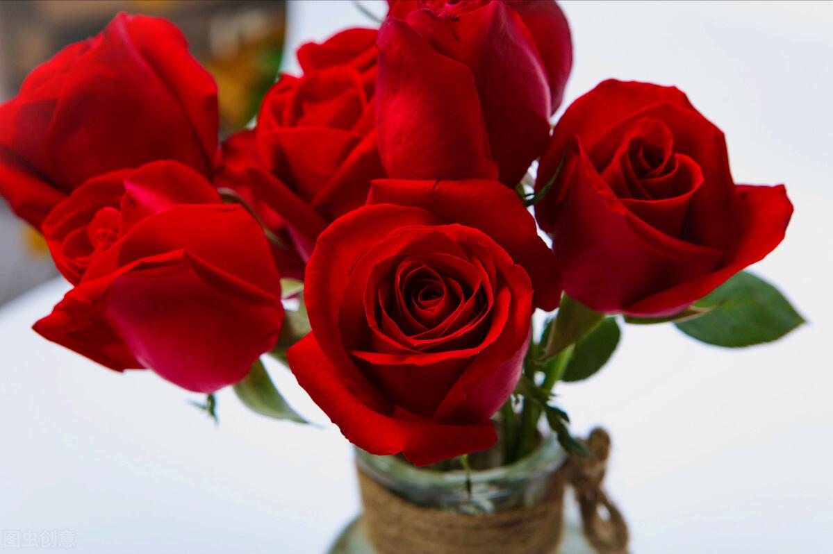 一花一世界一叶一花一菩提,春天来了一花一世界一叶一菩提