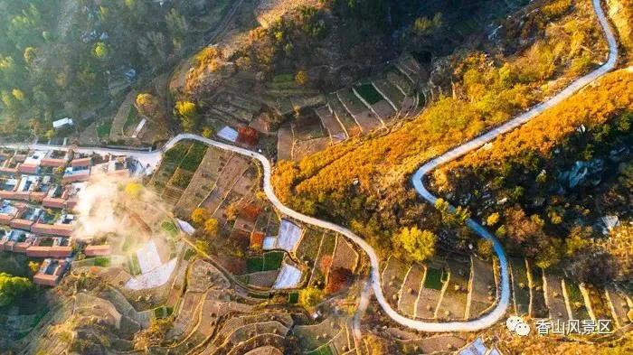 俺莱芜有美景|四季予你诗画香山