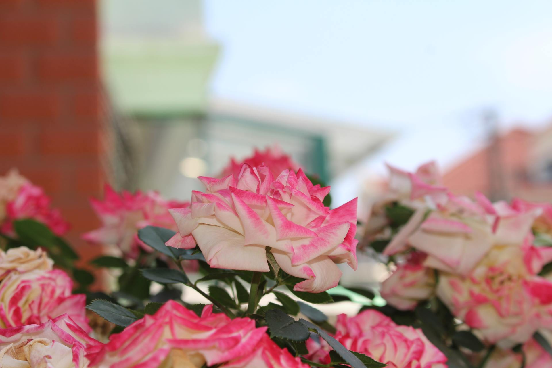 佳能相机100d代值得买吗,2022年佳能100d值得买吗