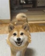 中国人下南洋如何白手起家,白手起家的人特征