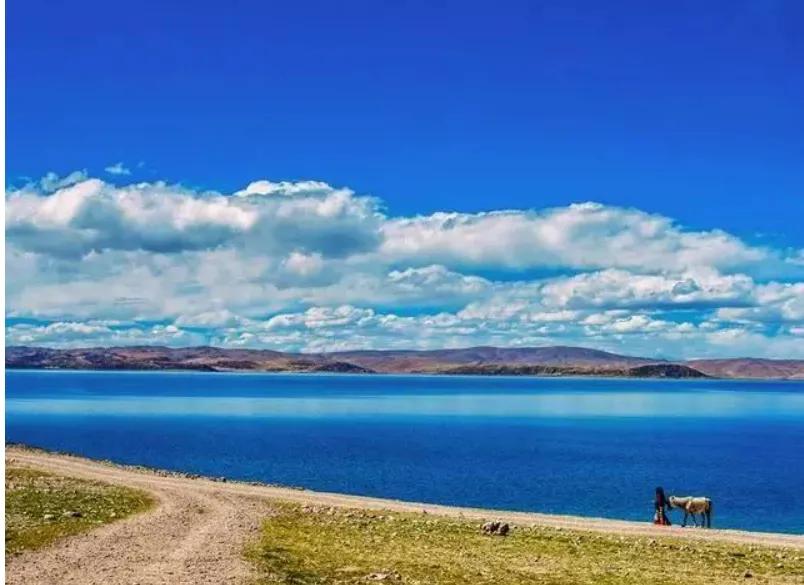 捷豹f-pace自驾感受,新款捷豹f-pace街拍霸气