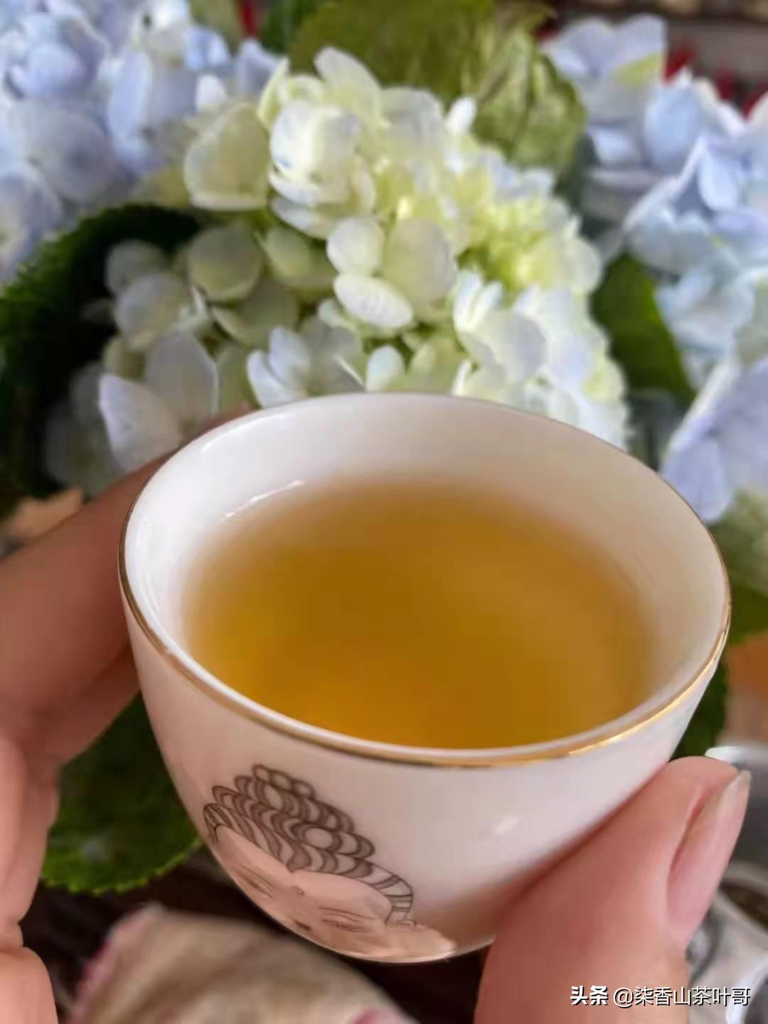 被遗弃的宝藏，古树黄片的优势，它到底用什么抓住喝茶的人的嘴？