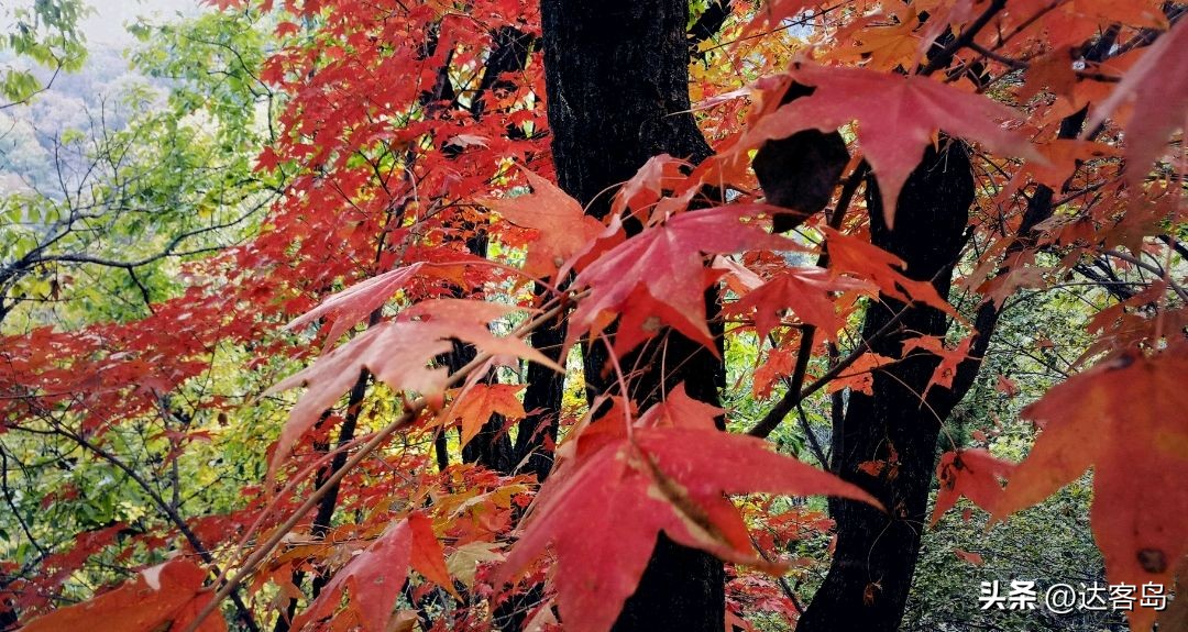 天津秋季旅游景点推荐路线,天津秋季旅游攻略大全