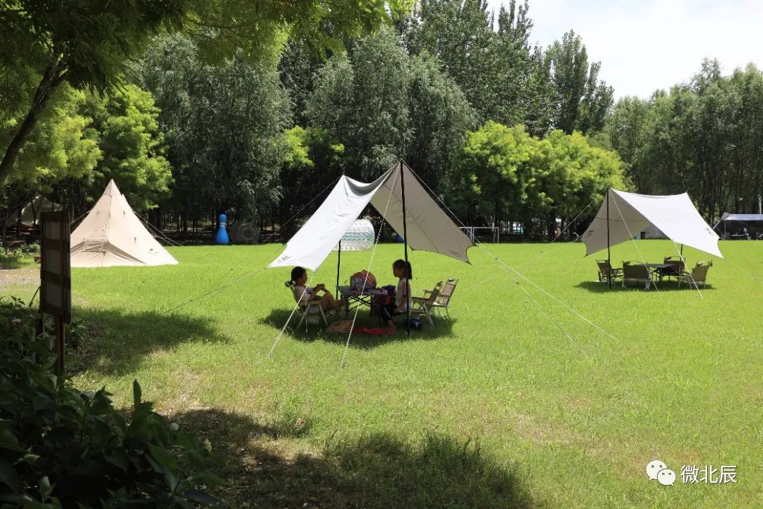 夏日露营不二选！北辰区“嚒嚒兽梦幻森林”清凉来袭~（转发得门票！）