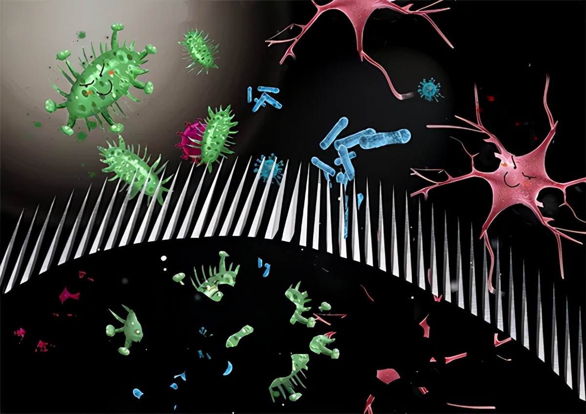 室内如何消毒杀菌杀虫,如何进行室内消毒杀菌