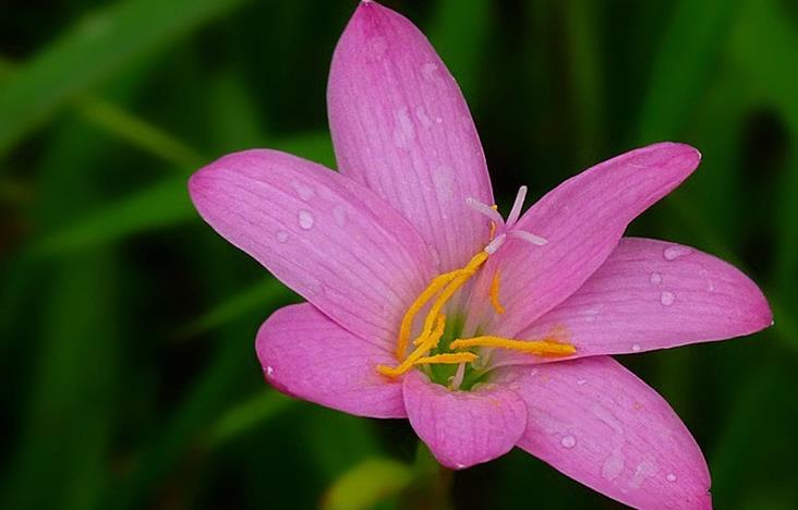 不管关系多好,也别请人吃饭、送礼,原因很现实