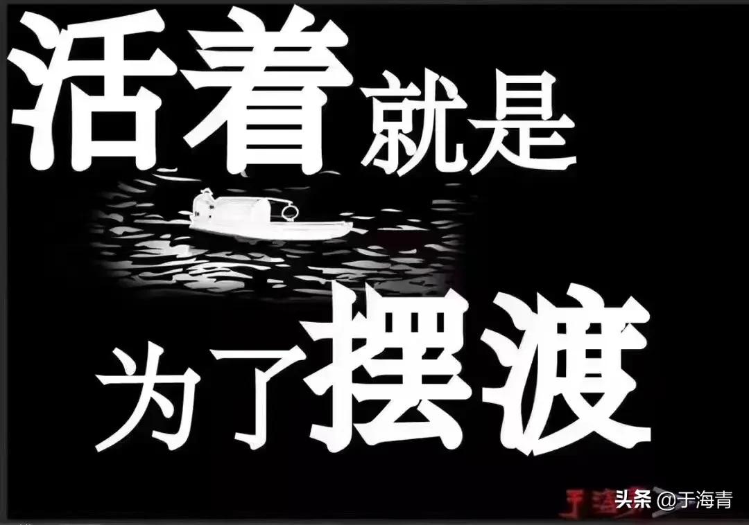 于海青是干什么的,于海青的品牌价值