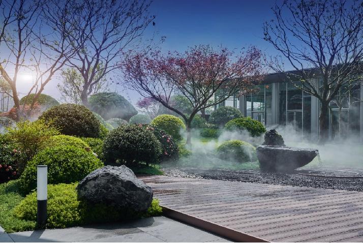 那些被我们忽略的风景,球球景观