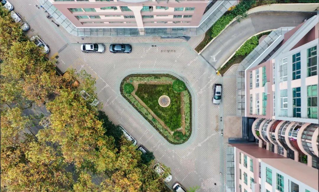 疫情期间，我赌了一把，用“白菜价抄底”给父母置换了一套养老房