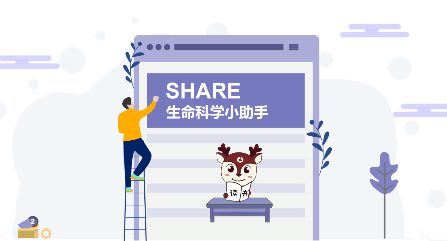 高效液相常见问题及解决,液相故障处理