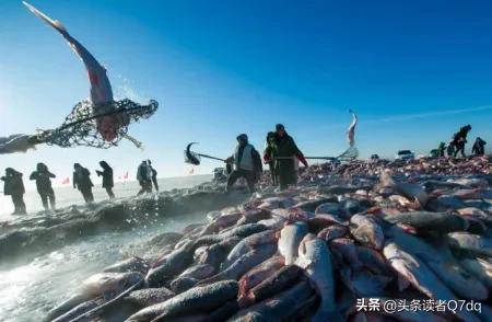 查干湖在什么地方属于哪个省,查干湖冬捕