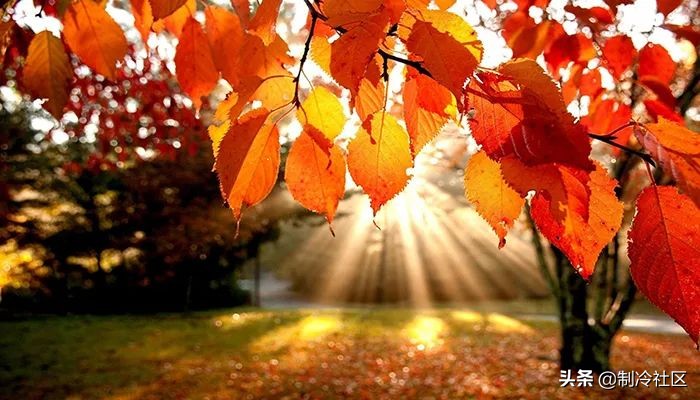 南方冬天湿度多少最适宜,南方空气湿度大要注意什么