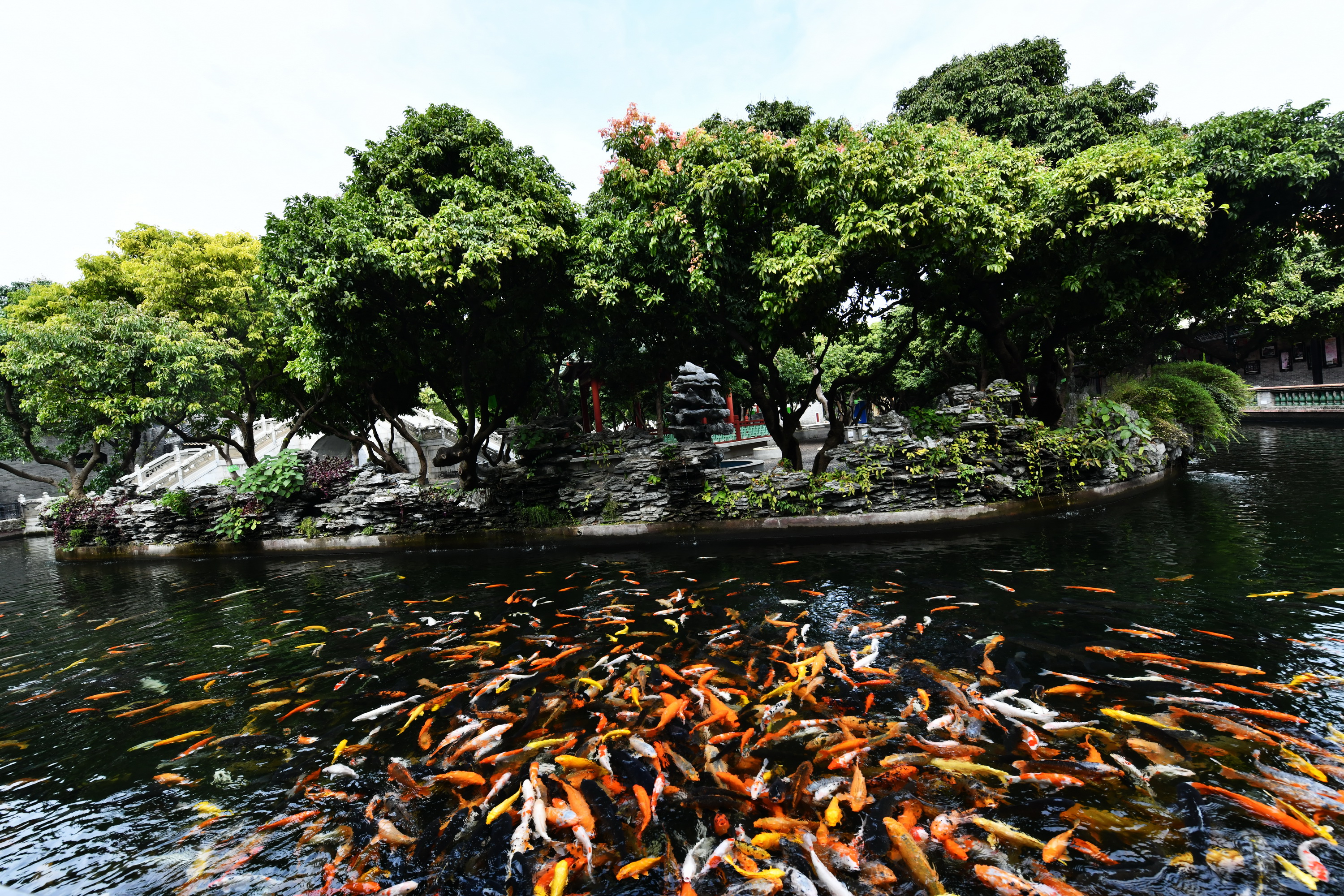 广州市番禺区宝墨园攻略,广州宝墨园景观