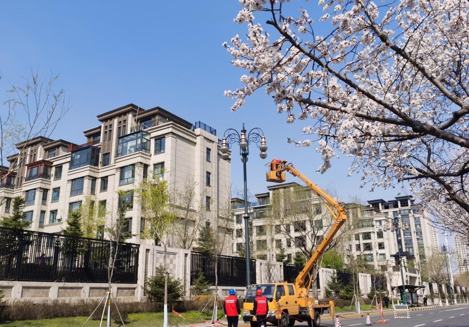 哈尔滨智慧路灯,黑龙江led智慧路灯现状