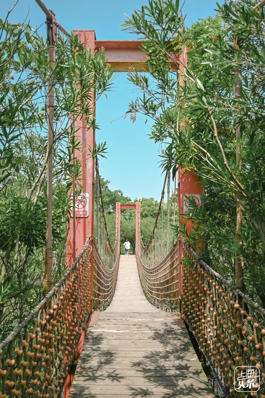 实用全上海532家公园攻略速速收藏,上海攻略必去的公园