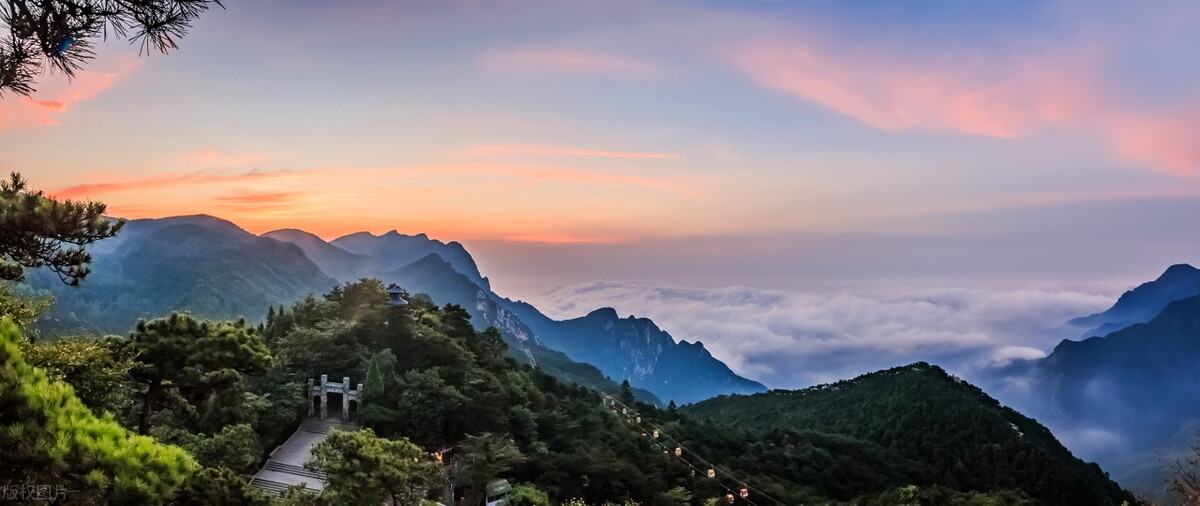 奶茶店老板,奶茶店老板娘蔡倩直播视频