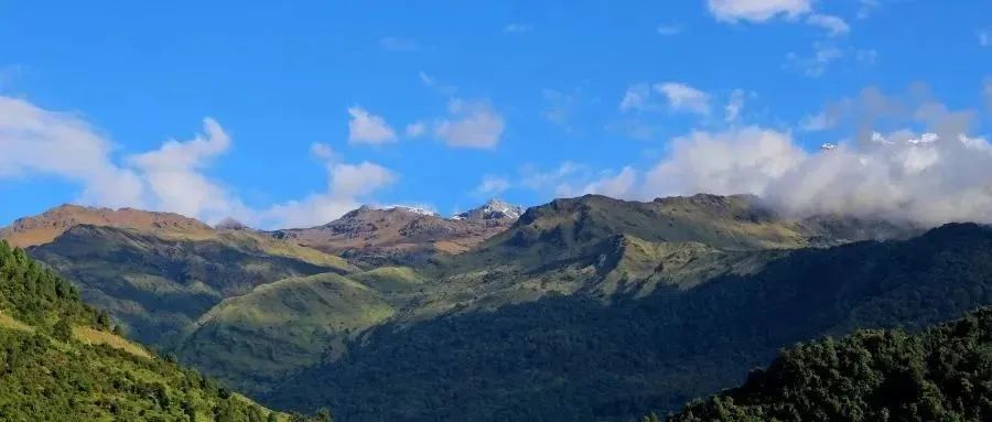 反有组织犯罪法的四大亮点解读,反有组织犯罪法理解与适用