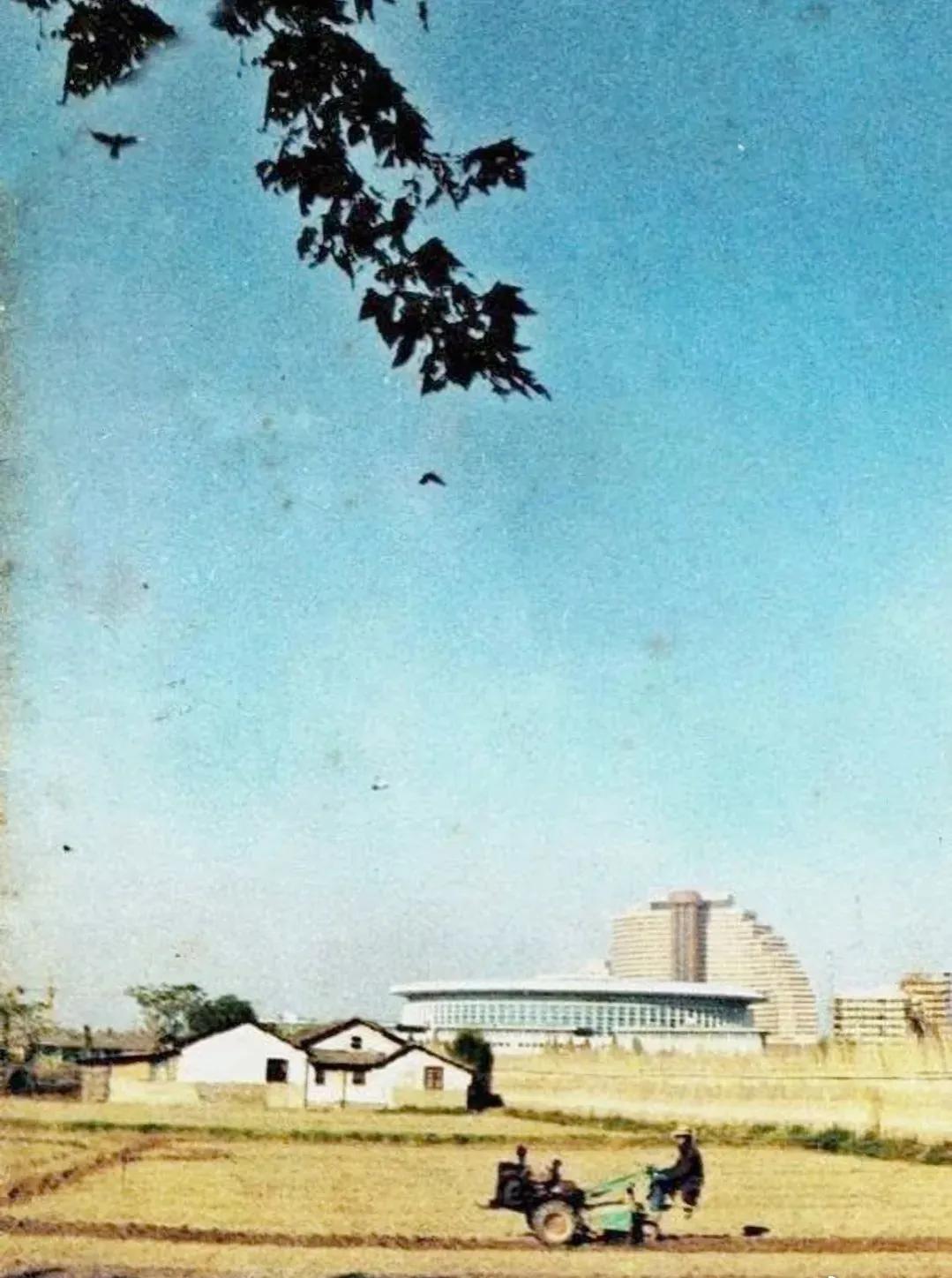 这张老照片上的每一寸土地都价值上万——华亭宾馆的前世今生