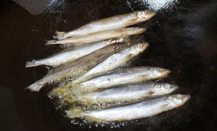 老年人适合饮用高蛋白质的食物吗,老年人如何进行高蛋白饮食