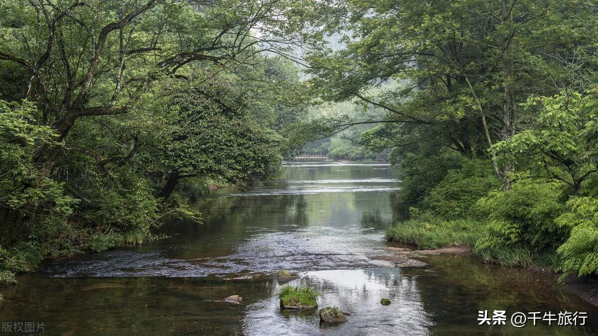 浙江旅游景点大全排行榜前十名,浙江哪些旅游景点对浙江人免费