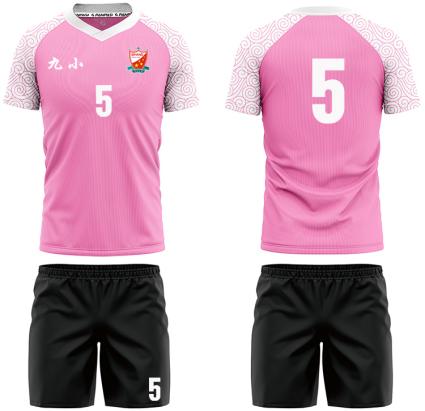 陕西省榆林市靖边县第九小学,陕西省榆林市第九小学