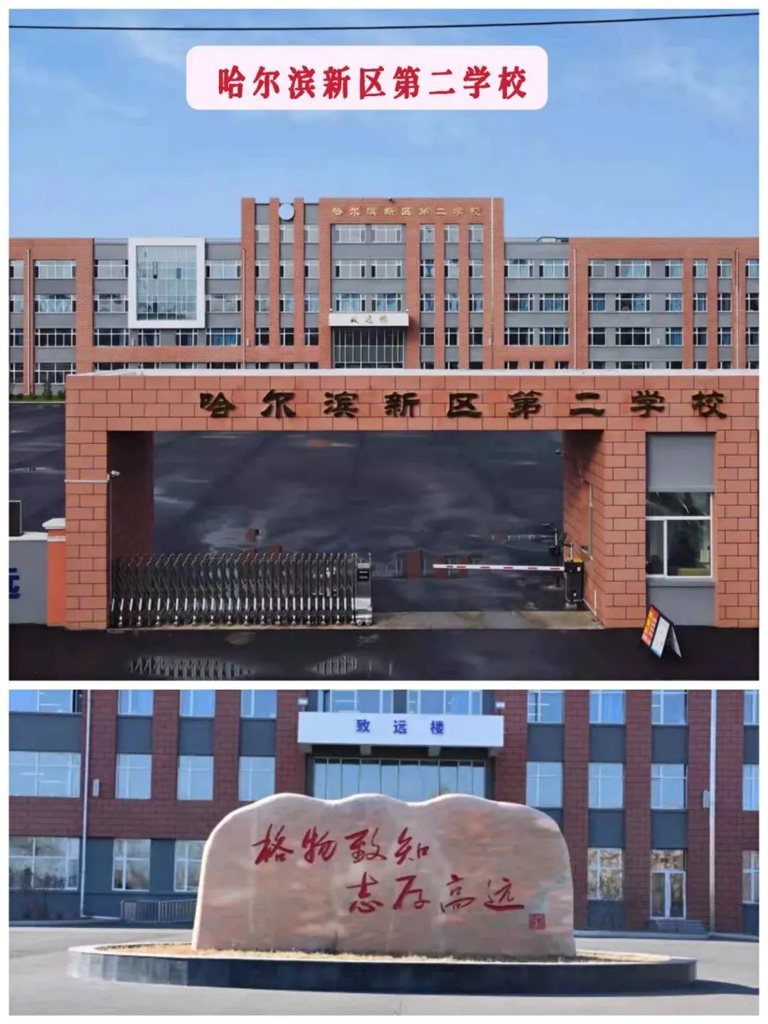 哈尔滨市新区第六学校位置在哪,哈尔滨新区第五校和第七校