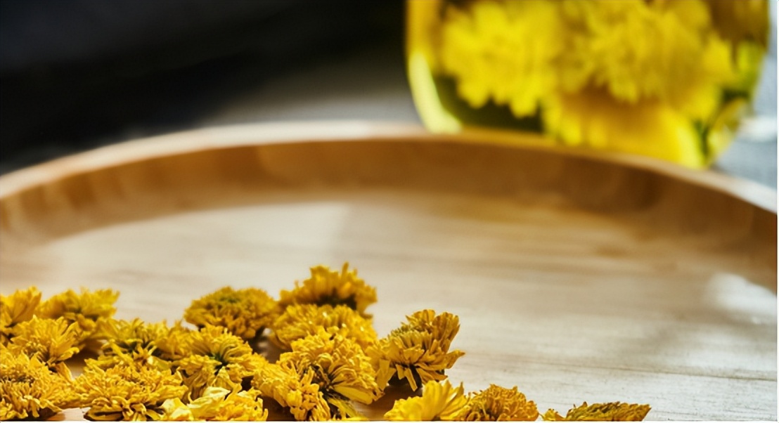 出伏喝党参和黄芪,伏天适合喝菊花茶