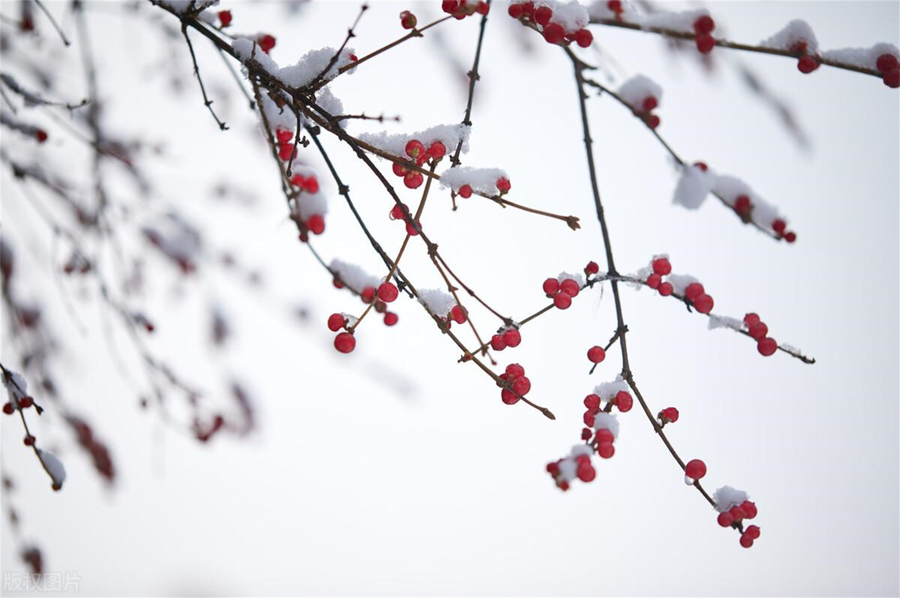 2023年标准版天气预报,天气预报2023年最新版